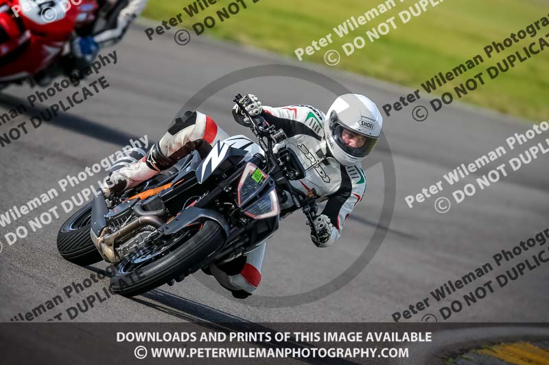 PJ Motorsport 2019;anglesey no limits trackday;anglesey photographs;anglesey trackday photographs;enduro digital images;event digital images;eventdigitalimages;no limits trackdays;peter wileman photography;racing digital images;trac mon;trackday digital images;trackday photos;ty croes